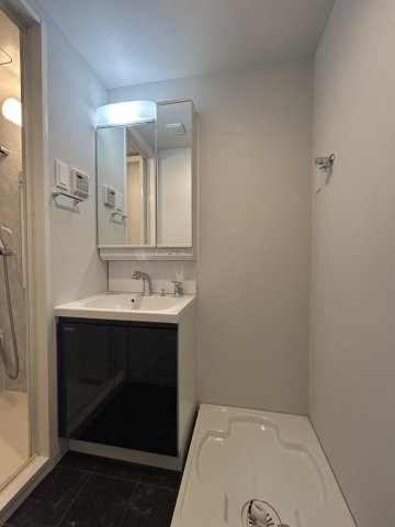 S-RESIDENCE大和田alineの独立洗面台