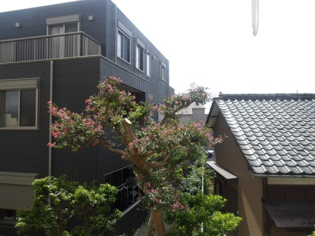 エンゼルハイム阿佐谷の展望