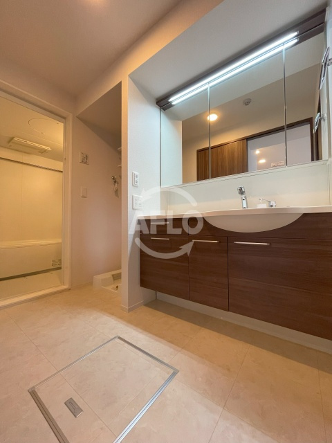 ロイズパレス中百舌鳥WESTの洗面所|ロイズパレス中百舌鳥WEST　洗面所