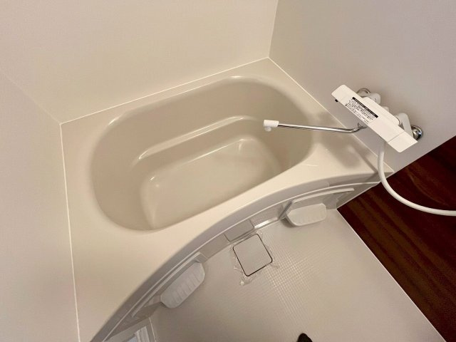 メゾンイケナガの浴室