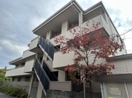調布市小島町３丁目のマンションの画像