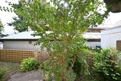 【展望】 | ビインヒルズ