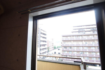 景色です。