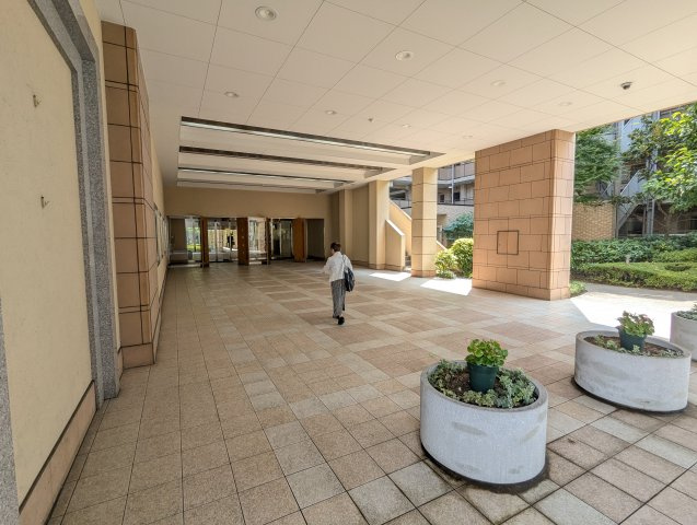 クリオレジダンス東京