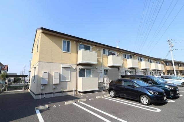 Rosemary/Marigold/Freesia　Free