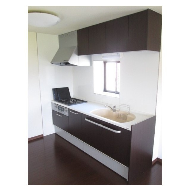 岐阜市春近古市場南の住宅付店舗一部のキッチン|システムキッチン