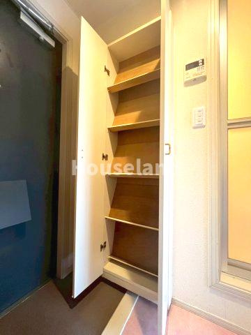 ライズ中之島の収納