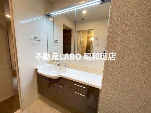 D-ROOM墨江の洗面所