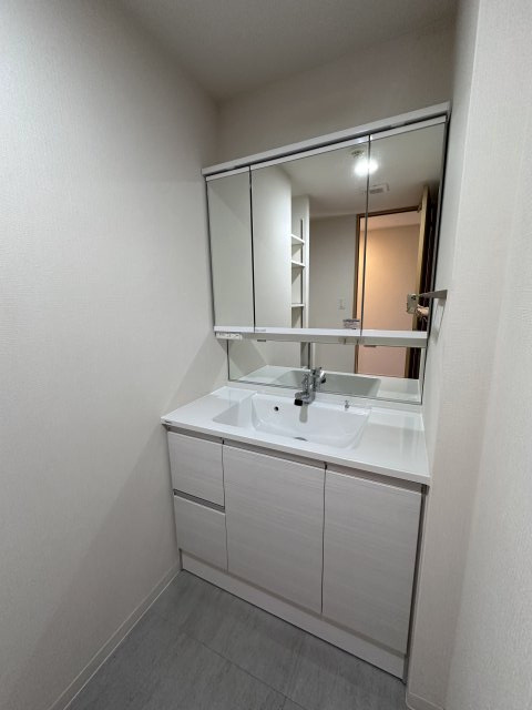 レックス市川リバーサイドコートの独立洗面台