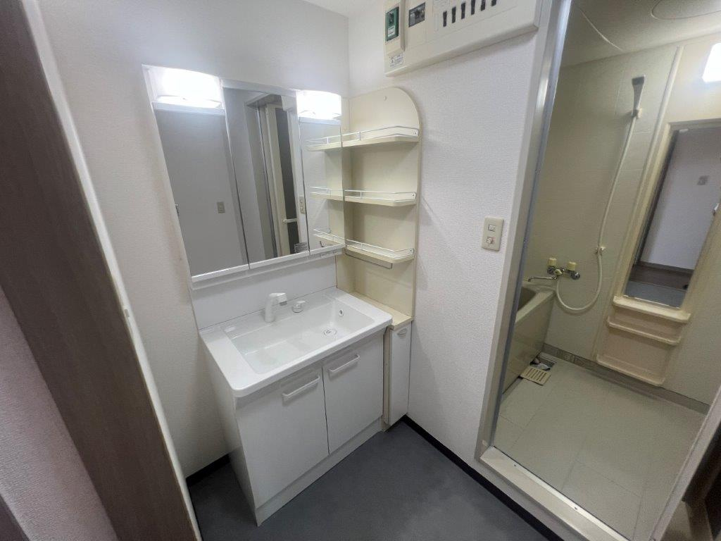 ラフィネ武蔵野の洗面所