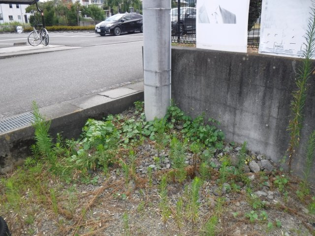 富士川町天神中条267坪売地のその他