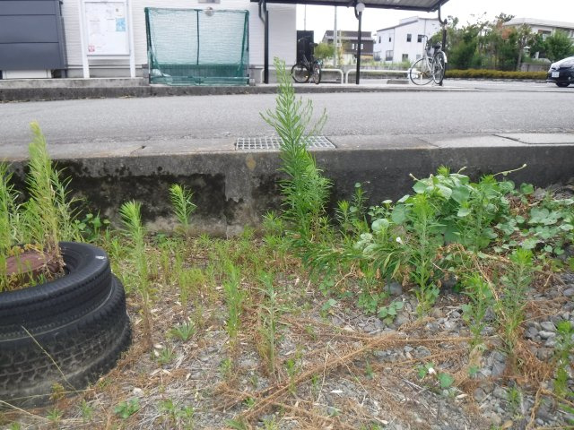 富士川町天神中条267坪売地の外観
