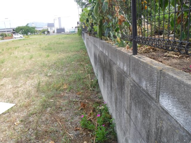 富士川町天神中条267坪売地の外観