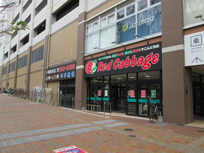 【周辺】 | ホワイトバレー八幡駅前 | レッドキャベツまで230m