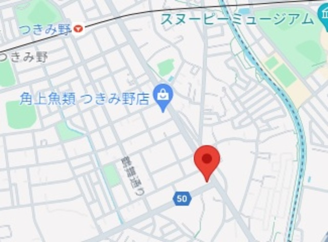 ＢＯＲＩＫＩつきみの　南棟の地図