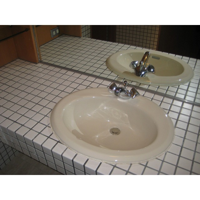 パレロワイヤル夙川デュプレックスの洗面所