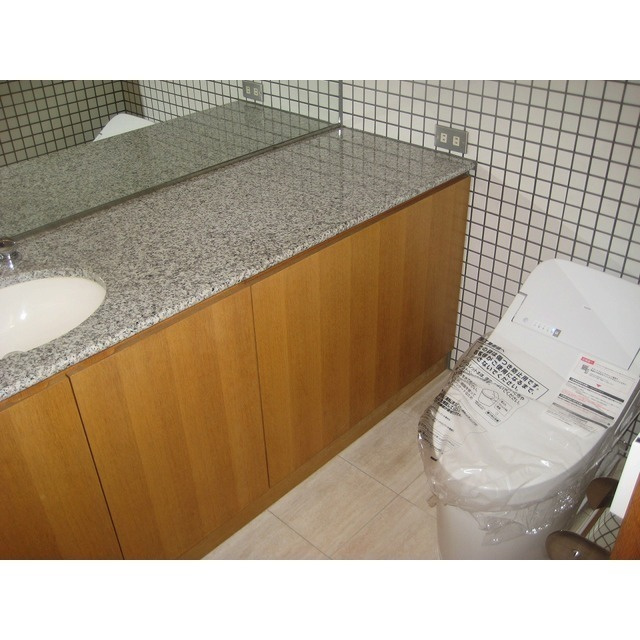 パレロワイヤル夙川デュプレックスのトイレ