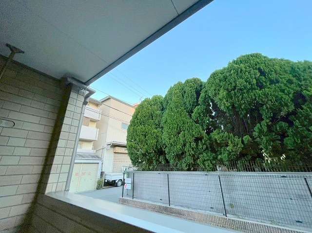 カーサユタカの展望