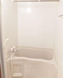 さいたま市中央区大字下落合の賃貸マンションの浴室