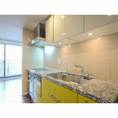 港区東麻布１丁目の賃貸マンションのロビー|キッチン 