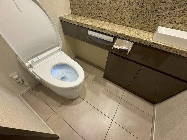港区南青山６丁目の賃貸マンションのその他共用部分|トイレ 