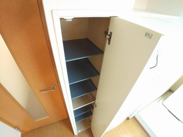 レオパレスウィングトダパークのその他|シューズボックス