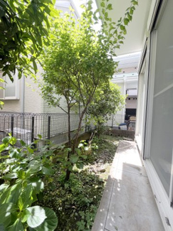 【庭】 | 世田谷区北烏山8丁目4LDK一戸建て | 南向き・1階のお庭スペースです。家庭菜園など楽しんでみてはいかがでしょうか？