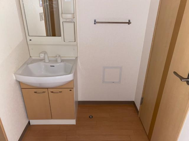 ロイヤルハイツの洗面所|洗面