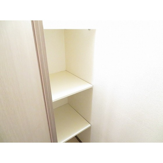 ポポラーレ壱番館の洗面所|収納