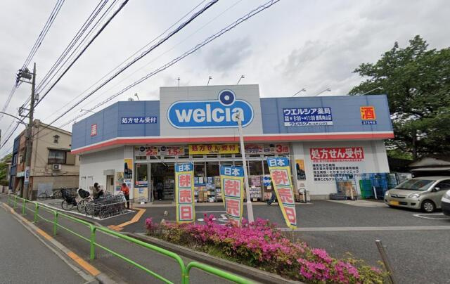 練馬区高松１丁目の新築一戸建の周辺|ウエルシア練馬向山店まで420m 