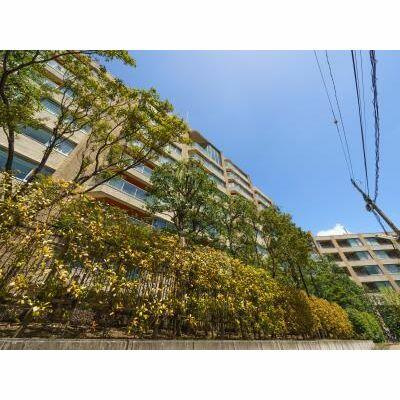 港区南麻布５丁目の賃貸マンションの外観|外観 