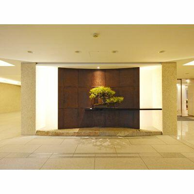 港区南麻布５丁目の賃貸マンションのロビー|エントランス 