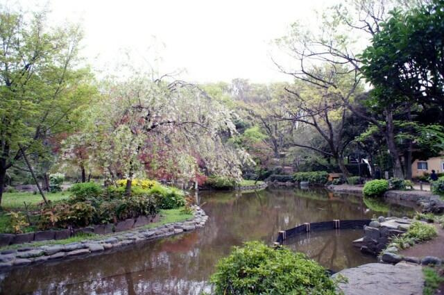 港区元麻布２丁目の賃貸マンションの展望|有栖川宮記念公園まで433m 