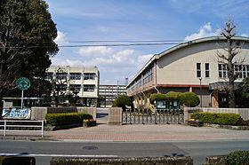 港区元麻布２丁目の賃貸マンションの周辺|東町小学校まで932m 