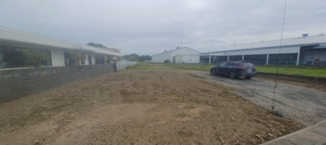 【外観】 | 行田市野　450万　土地(西) | 

