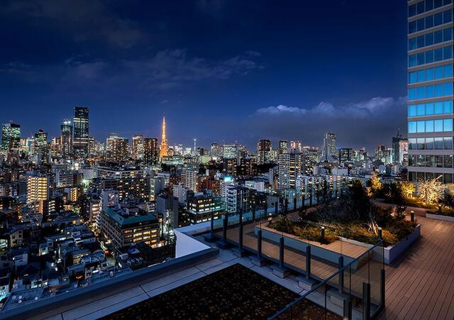 港区白金１丁目の賃貸マンションの展望|スカイテラス 