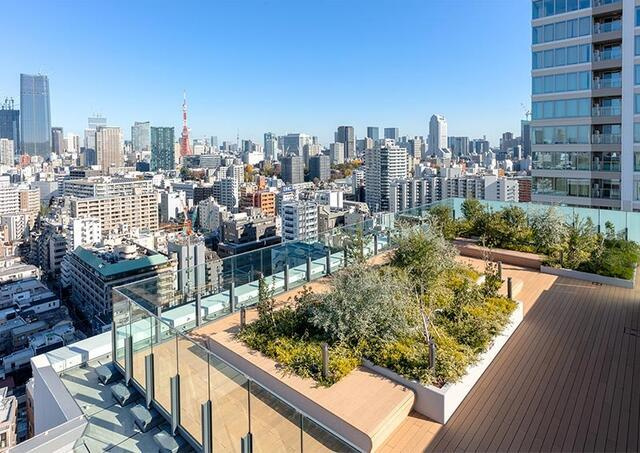 港区白金１丁目の賃貸マンションの展望|スカイテラス 