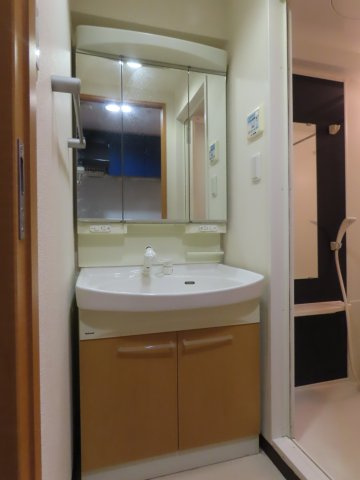 大阪市淀川区塚本２丁目の賃貸マンションの独立洗面台