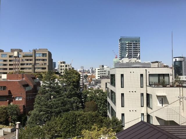 港区西麻布３丁目の賃貸マンションの展望| 