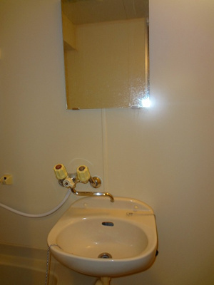 【洗面所】 | VIP-IN太平洋ノースヒルズ | ※同建物同型別のお部屋