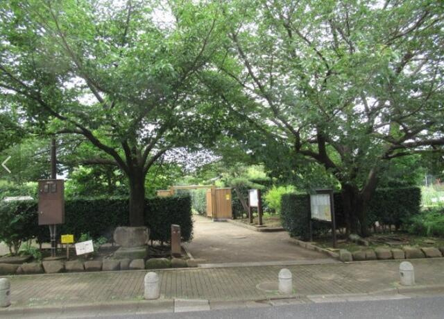 練馬区谷原６丁目の新築一戸建の周辺|土支田農業公園まで514m 