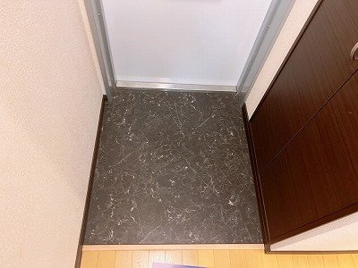 レオネクストめふの玄関