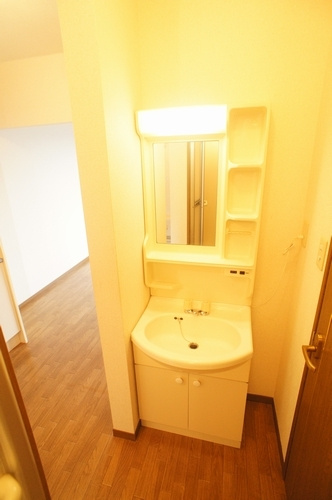 エステート秋山の洗面所