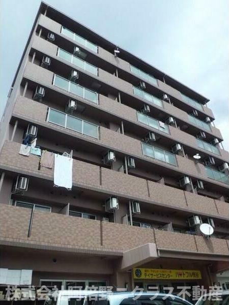 マンスフィールド桃谷