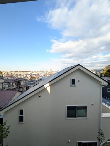 ロータス梅林の展望