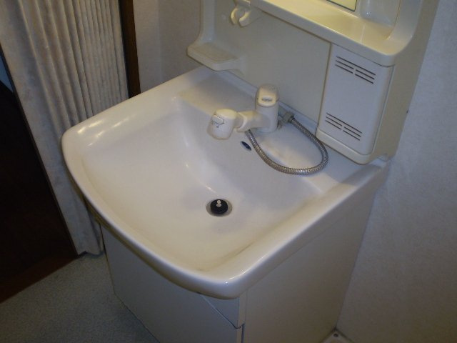 アメニティA.Nの洗面所