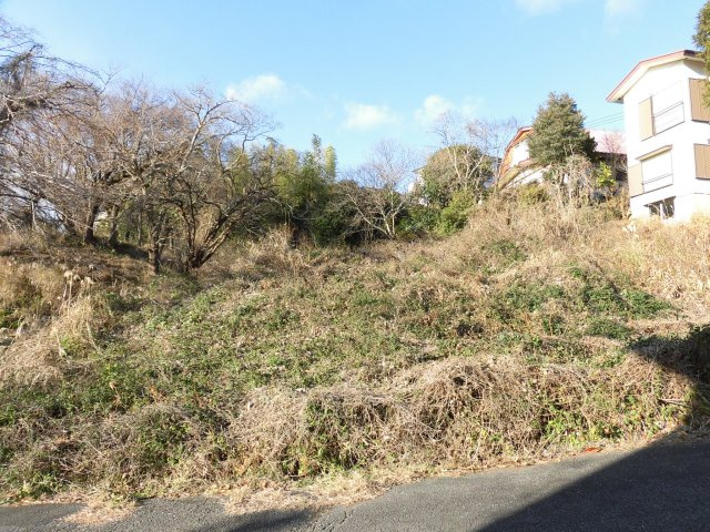 大室高原別荘地(シャボテン)