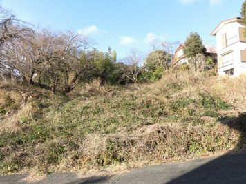 大室高原別荘地(シャボテン)の画像