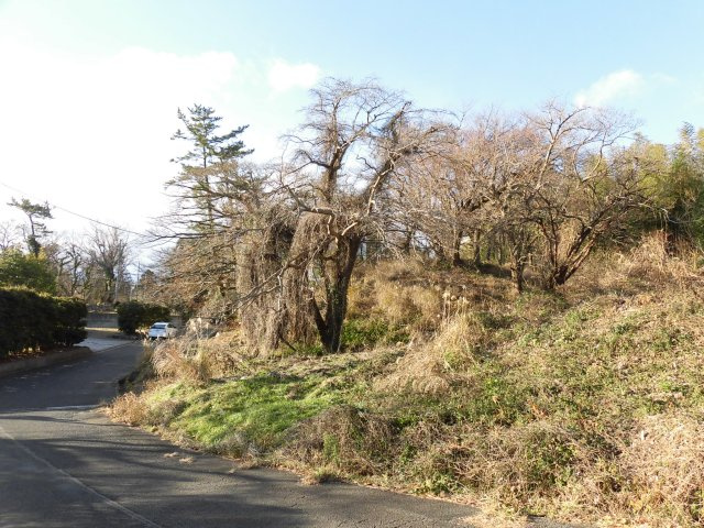 大室高原別荘地(シャボテン)の前面道路含む現地写真