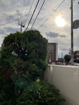 【展望】 | グレースブルック